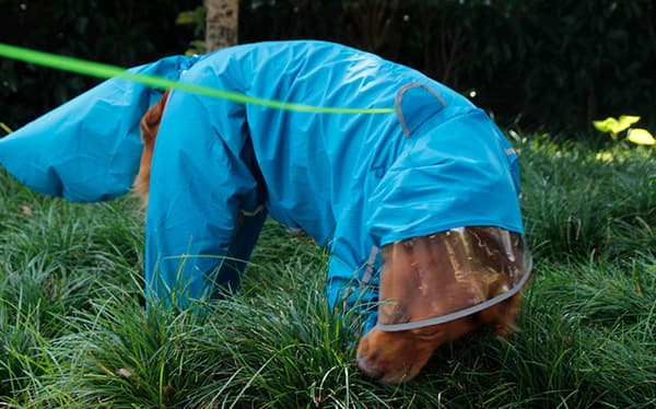 Pet Poncho Stor Hund Vattentät Full Coverage Svans -Kvinnor-Sjö Blå 9XL,