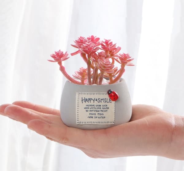 Simulerad krukväxt mini simulerad krukväxt suckulent mikro landskap dekorativ bonsai (tornkött)