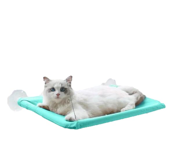 Husdjursmöbel Sugkoppshängmatta mintgrön (55*35CM, rep längd 56CM)