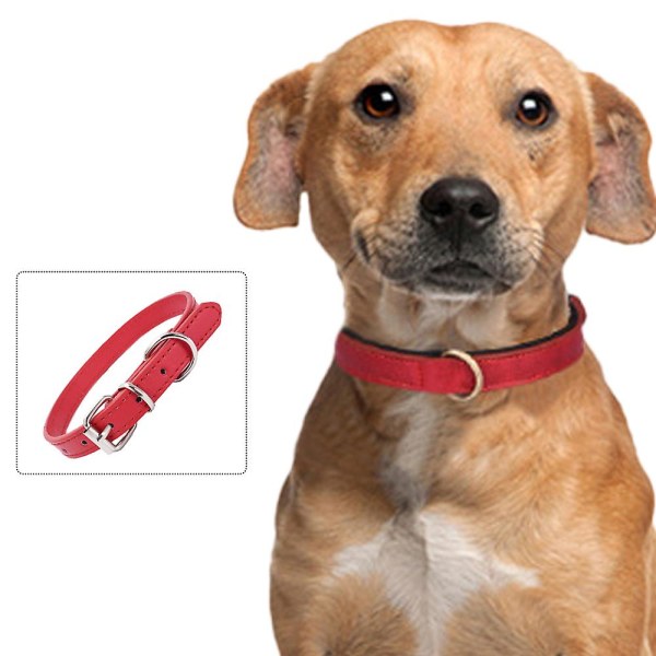 Hundhalsband läder valphalsband Justerbart hundhalsband för små hundar Flerfärgat djurhalsband