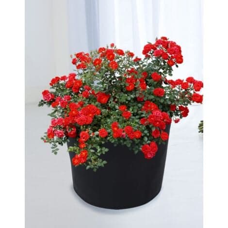 Hagevekstpose, 1 gallon, 18*15cm, 4 stk