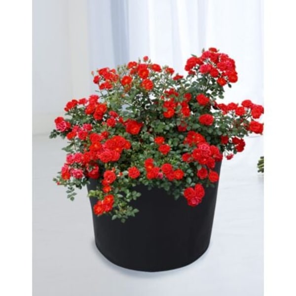 Haveposebeholdningspose, 1 gallon, 18*15cm, 4 stk