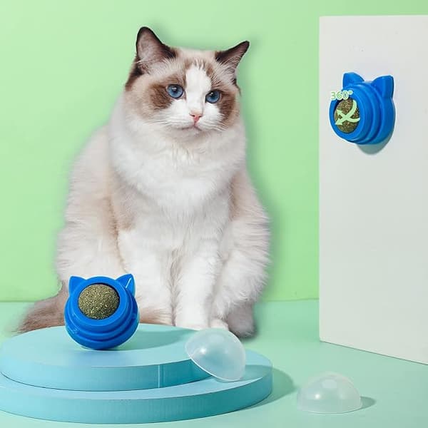 2-delad blå kattbitboll leksak kattbitboll leksak kattbit