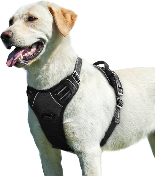 No Pull Hunde Sele for Store Hunde, Foran Klips, Justerbar