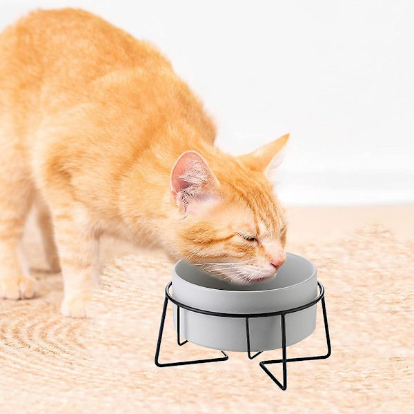 Forhøjede Katteskåle Til Indendørs Katte - Madskål & Holder Til Katte Hunde Hævnet Metaltrådstativ Grey