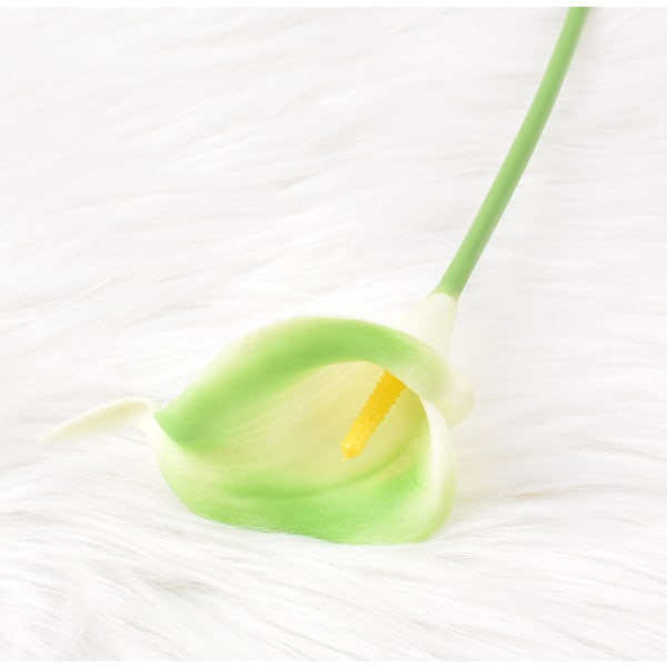 Tekokukka Calla Lily Tekokukka Vihreä 10kpl,