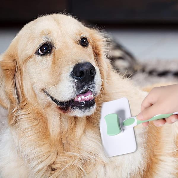Hunde Kattebørste, Selvrengørende Hårbørste til Hunde og Katte