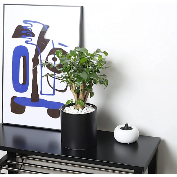 Nordisk enkel keramisk blomkruka, Morandi-stil suckulent grön växtblomkruka, modern personlig grön rädisa rosaskål (svart)