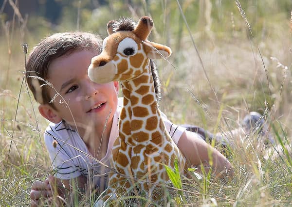 Giraff 40cm