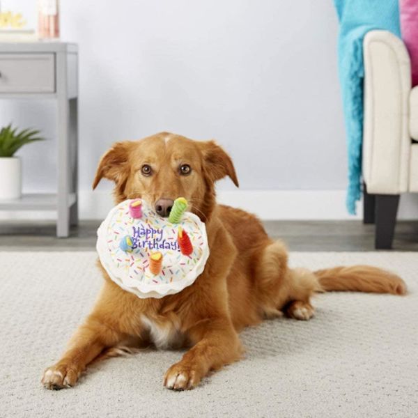 Hund Pipsqueak Kake Leksak, Husdjur Plysch Tugga Kake Leksak, Söt Hund Katt Plysch Dessert Födelsedagspresent - Cupcake
