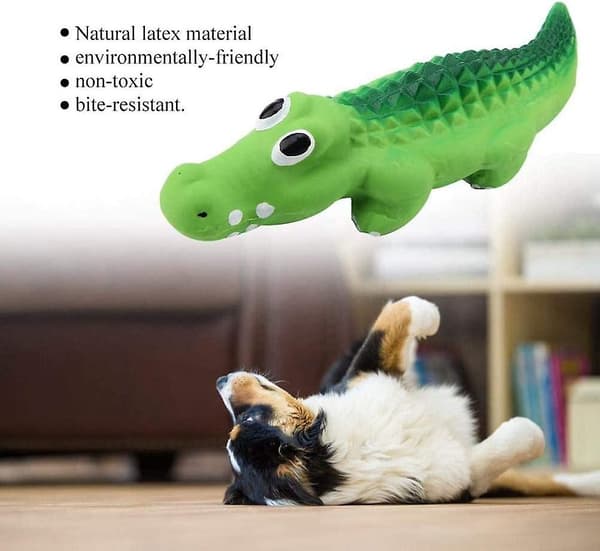 Krokodille hundetyg i holdbart latex