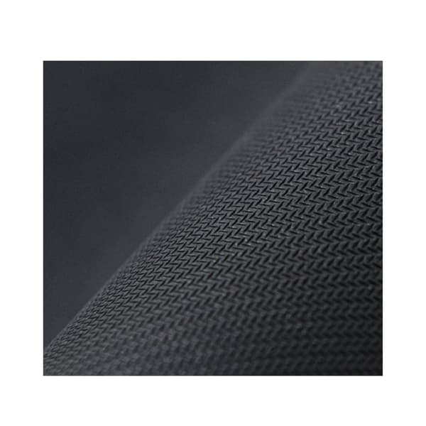 40 x 60cm Sød Dyr Diatom Absorberende Gulvmatte - Løve