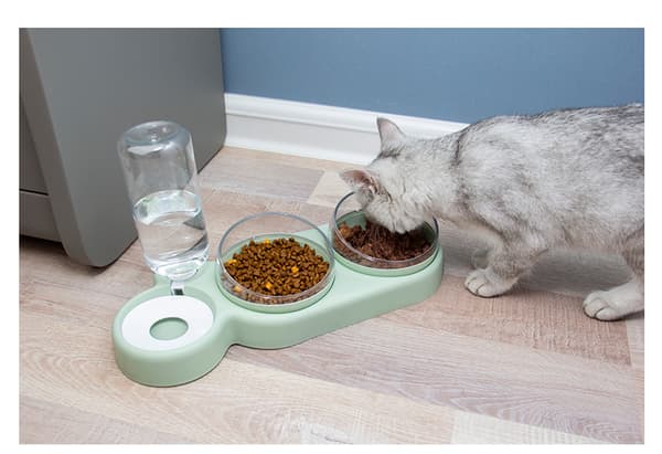 Dobbelt Skål, Automatisk Dyrefoder Dispenser, Katte Vandfontæne, Dyrevandfontæne (Hvid)