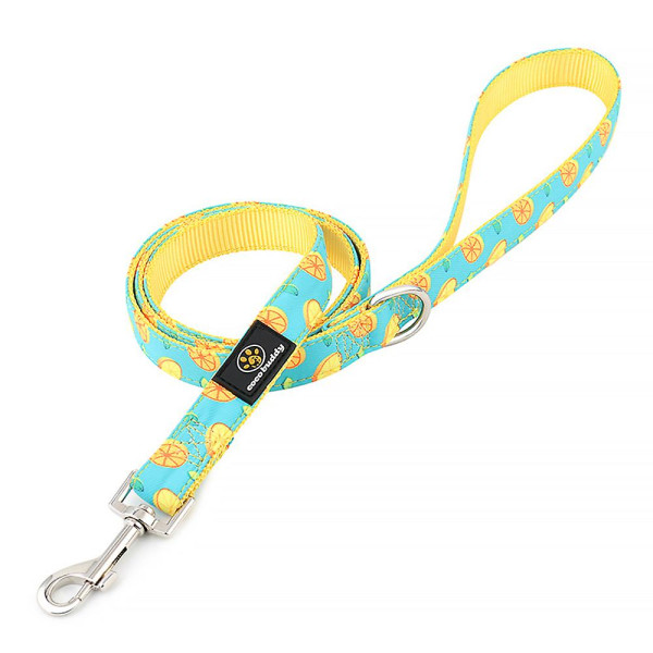 Printed Dog Leash Large, Medium And Small Pets Go Out And Walk The Dog Leash Cute