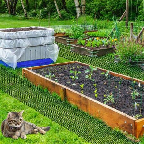 Havebeskyttelse mod katte og hunde - Net til altan, blomsterpotter og planter