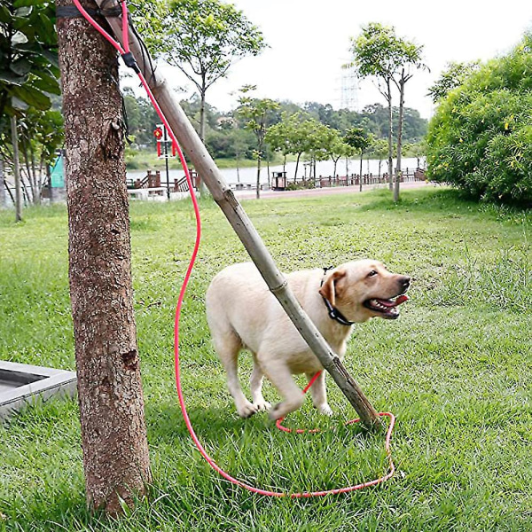 Outdoor Training Long Dog Leash