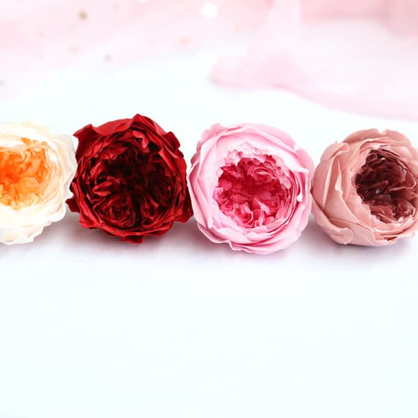 Konservert Austin Rose 4-5cm8 Blomster, Valentinsdag Gave DIY Blomsterboks Materiale (Rød)