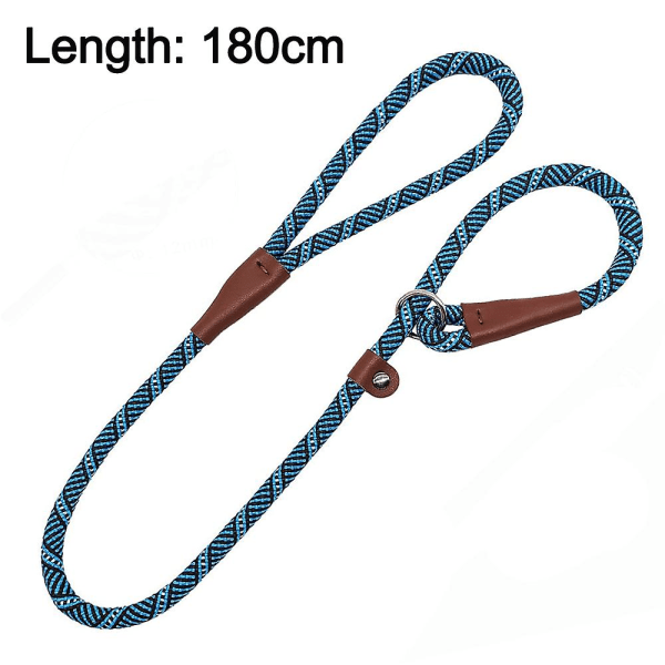 Slip Lead Dog Leash, Strong Nylon Leash