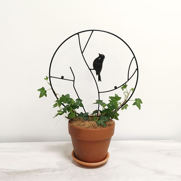 Klängställning för krukväxter, Blomkrukstativ, Metalliskt växtstöd (Diameter 30cm, Svart)