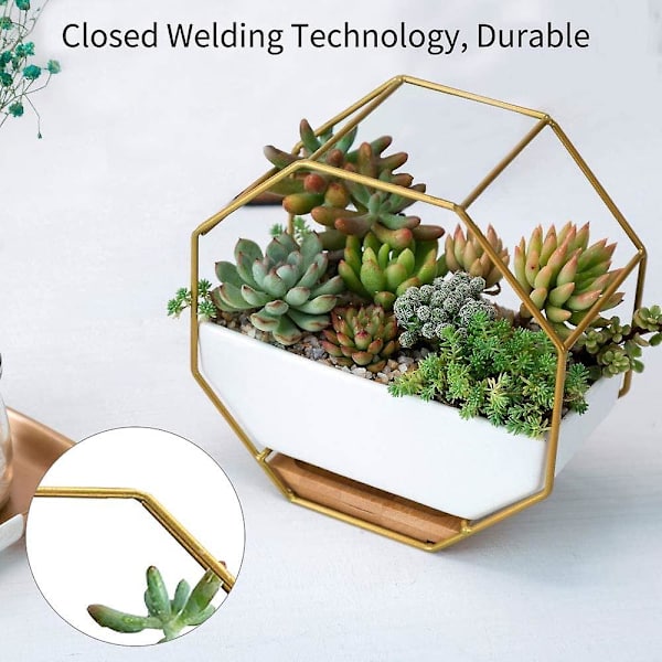 Hvite keramiske veggpotter, hengende plante, veggplanter med jernramme og bambusbrett for kunstige blomster, kaktus, sukkulenter, dekor for stue Din