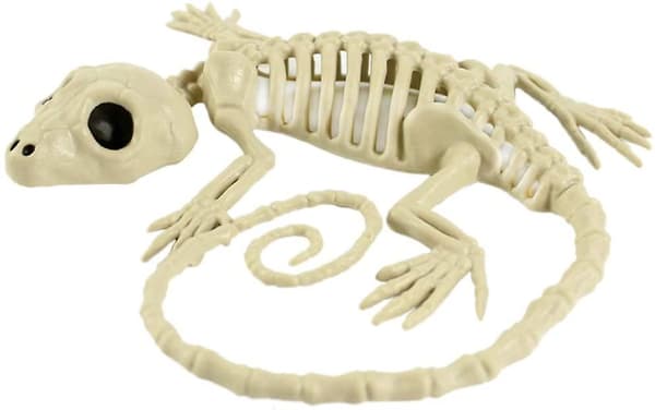Gecko-kraniet Ornament