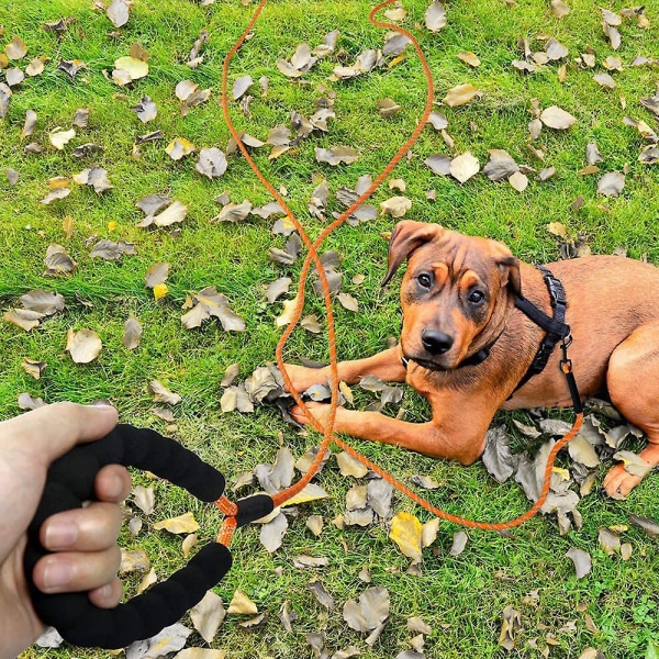 Reflekterande nylon Långt hundkoppel för hundpromenader, camping