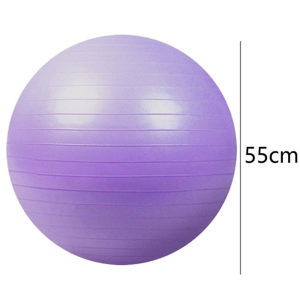 Yoga Fitness Ball, Balance Ball Stol För Yoga Pilates Fitness Balansträning Lilac Purple 55Cm