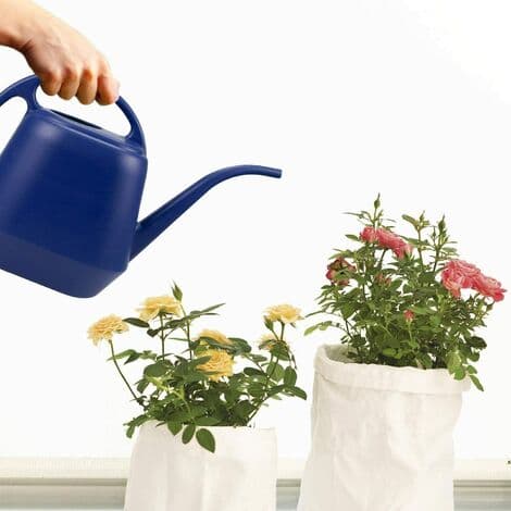 Vattenkanna i plast - 1 gallon - Blå