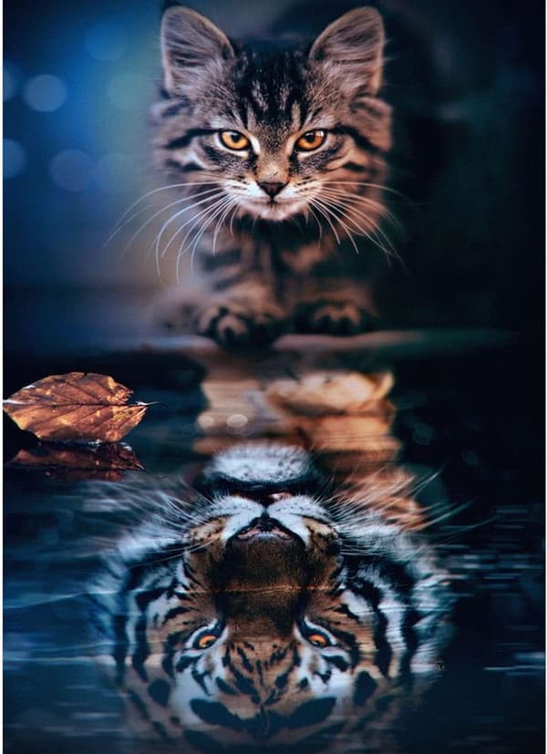 Diamantmaleri Kat, 5D Diamantmaleri, Diamantmaleri