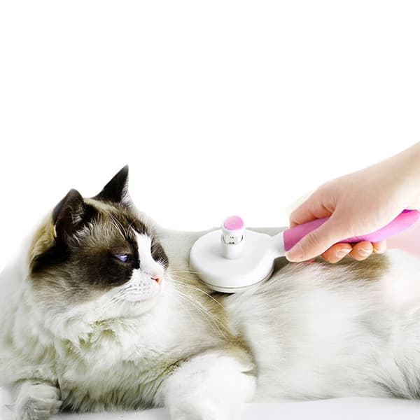 Pelsbørste, ergonomisk rustfritt stål nål, pelsbørste, katt og