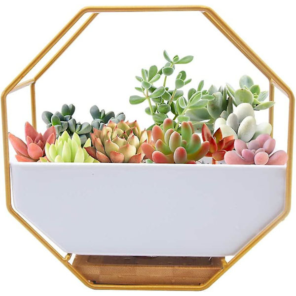 Hvite keramiske veggpotter, hengende plante, veggplanter med jernramme og bambusbrett for kunstige blomster, kaktus, sukkulenter, dekor for stue Din