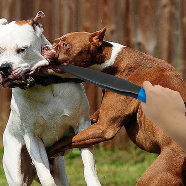 Professionell Hund Ingen Bita Pinnar Leksak för Hundträningsutrustning