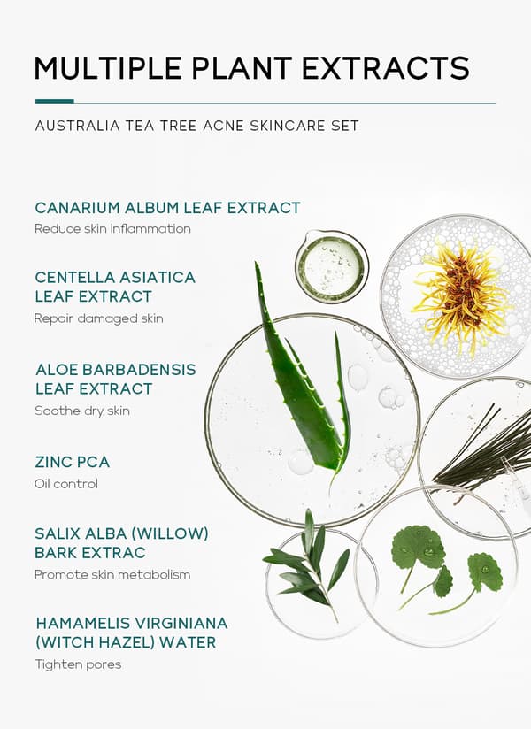 Australsk Tea Tree 5-delt Ansigtsplejesæt (OEM) - Rens, Creme, Toner, Serum