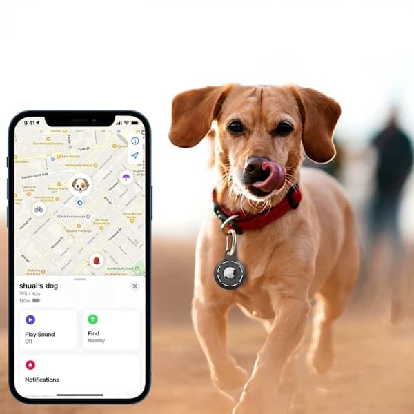 Nøglering til Apple AirTag 4-pak, Flere farver
