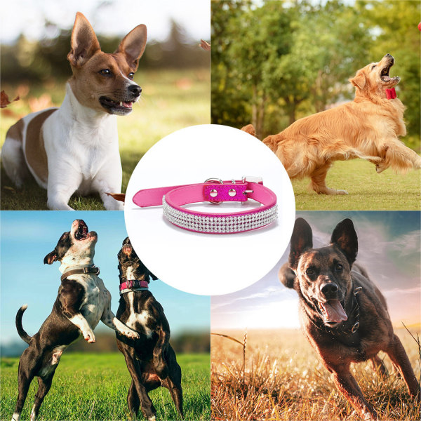 Hundhalsband med glänsande strass och diamanthalsband är lämpligt för små och medelstora hundhalsband