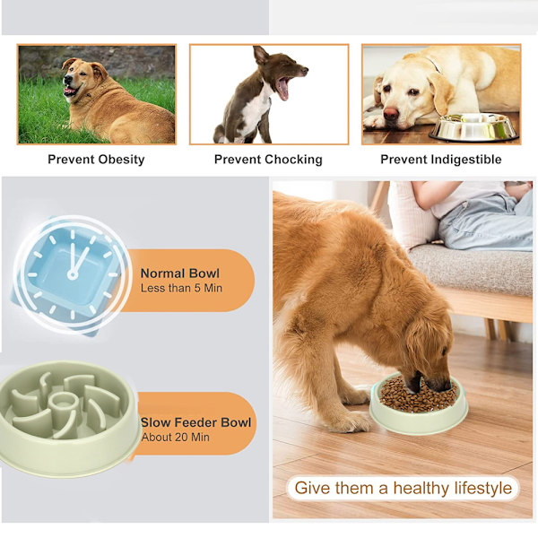 Långsam matare hundskål, Anti-Gulping husdjur långsammare matningsskålar Stoppa uppblåsthet