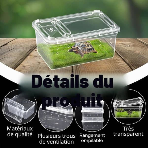 Reptiluppfödningslåda - 10-pack - Transparent Plast - Dubbel Ventilationsöppning - Spindelfrog Till