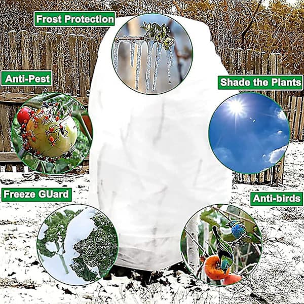 Sett med 2 vinterbeskyttelse for planter, frostbeskyttelse, vinterbeskyttelse for planter, stor pose for potteplanter, 60 x 80 cm