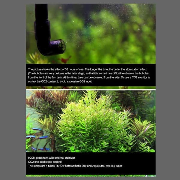 CO2-forstøver for akvarium, ekstern CO2-diffusor for akvarium, akvarietilbehør (M1 12/16 mm)