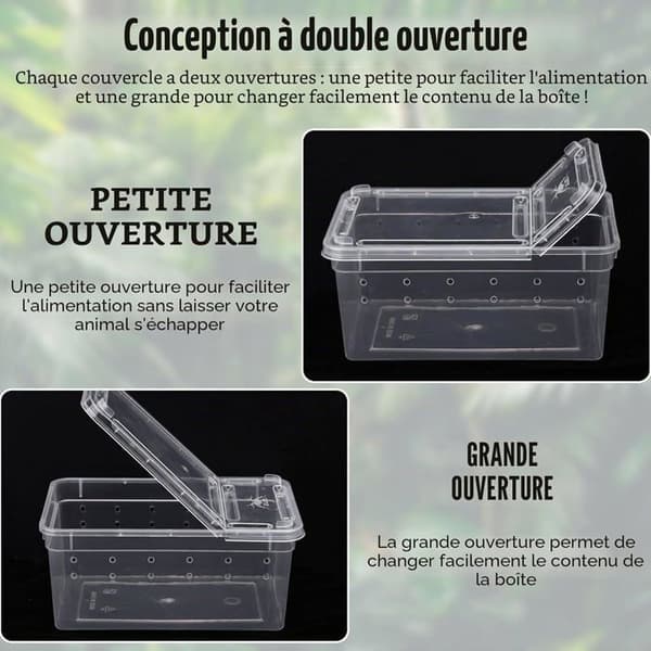 Reptiluppfödningslåda - 10-pack - Transparent Plast - Dubbel Ventilationsöppning - Spindelfrog Till