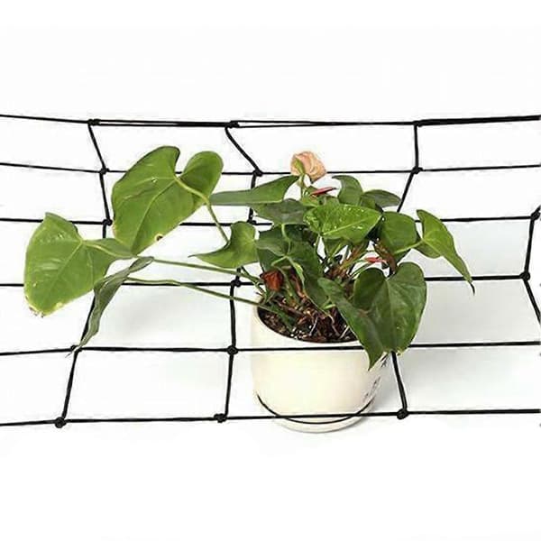 16 hull elastisk Scrog Netting Hydroponics Grow Support Telt 80