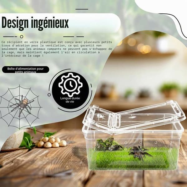 Reptiluppfödningslåda - 10-pack - Transparent Plast - Dubbel Ventilationsöppning - Spindelfrog Till
