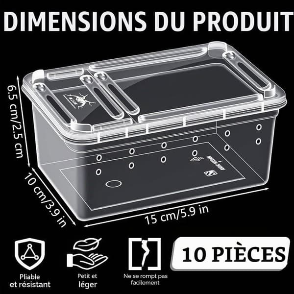Reptiluppfödningslåda - 10-pack - Transparent Plast - Dubbel Ventilationsöppning - Spindelfrog Till