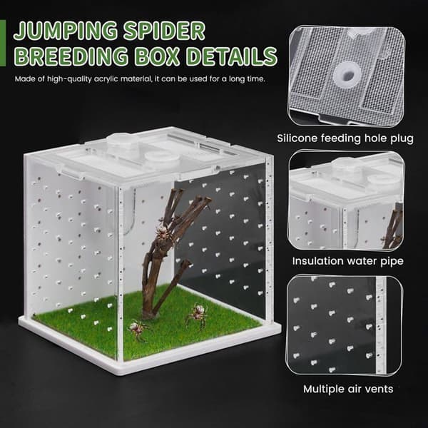 Springedderkop Avlsboks - 1 Enhed - Klar Akryl - Med Foderport - Til Terrarier