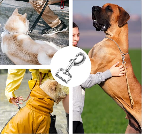 Kraftiga hundkoppelklämmor, hundkoppelspännen, hundkoppelhakar, karbinhakar, 4 st