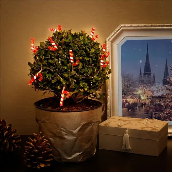 10 LED \"Polkagris\"-lys