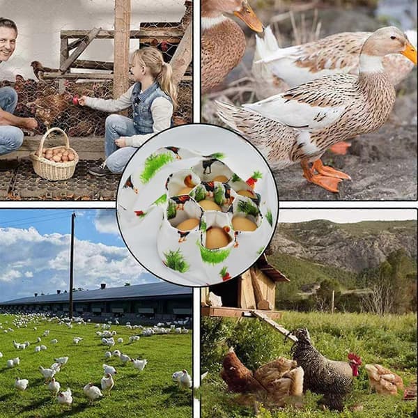 Eggsamlekurv, Mini Eggkurv for Høns, Eggsamlekurv med 7 Lommer, Hønseeggkurv for Innsamling av Ferske Egg Blomsterhane