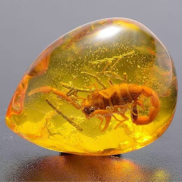 Vacker bärnstensskorpion med fossila insekter, handpolerad