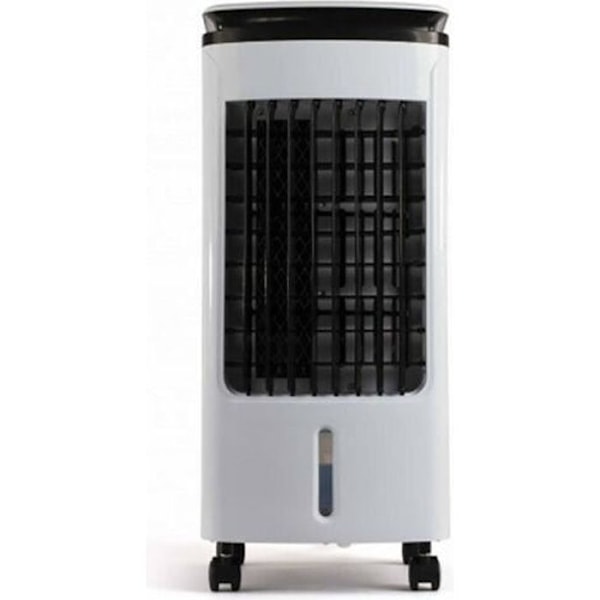 MOBIL LUFTKYLARE 3IN1 80W - LIVOO - DOM389