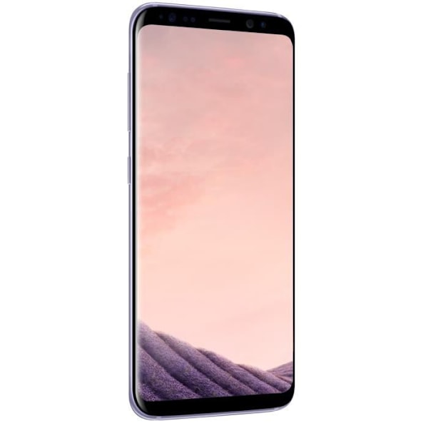 SAMSUNG Galaxy S8 64 GB Orchid Grey